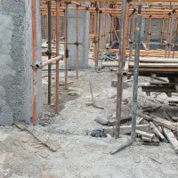 نیروی کار