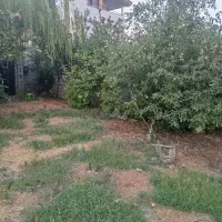 فروش زمین مسکونی قواره دو ساحل چمخاله|فروش زمین و ملک کلنگی|چاف و چمخاله, |دیوار