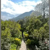 فروش-زمین-با-سند-شش-دانگ