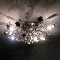 دو عدد لوستر سقفی ۱۵ شاخه