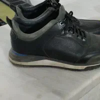 کفش مردانه وزنانه|کیف، کفش، کمربند|الشتر, |دیوار