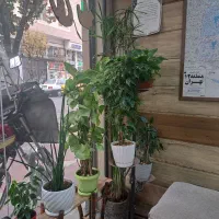 خیابان ایران فیاض بخش