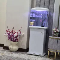 اکواریوم