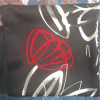 تعدادی شال  روسری شومیز و یک قواره پارچه|لباس|شیراز, لاله|دیوار