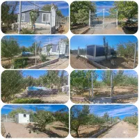 چند قطعه باغ با اتاق و فنس پل زمانخان|فروش دفتر صنعتی، کشاورزی، تجاری|سامان, |دیوار