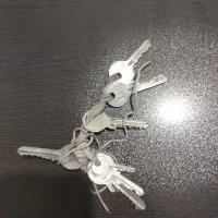 کلید پیداشده