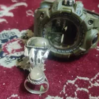 انگشتر جفت عقاب شجر،در نجف باقدمت بیش از ۸۰سال