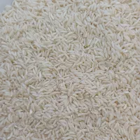 برنج هاشمی و صدری(زرد دم) مستقیم از کشاورز سورتینگ