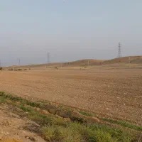 زمین-کشاورزی-پشمی-نزار