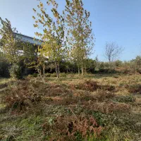 فروش یک قطعه زمین ۴۰۰ متری با کاربری مسکونی|فروش زمین و ملک کلنگی|لاهیجان, بازکیاگوراب|دیوار