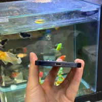 12normal|موبایل|شیراز, زند|دیوار