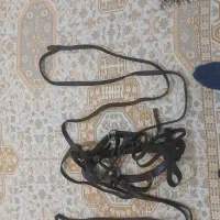 لوازم نگهداری اسب|اسب و تجهیزات اسبسواری|کندوان, |دیوار