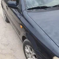 سمندسفارشی داخل چرم