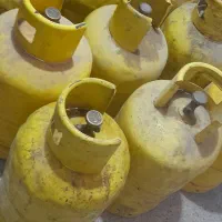 فروش کپسول پرسی وپاسار 130عدد