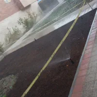 گل کاری و باغچه سازی وهرس|خدمات باغبانی و درختکاری|قم, آزادگان|دیوار