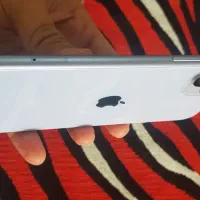 آیفون ۱۱ نرمال|موبایل|شادگان, |دیوار