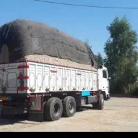 تفاله کاه اهواز باگاس