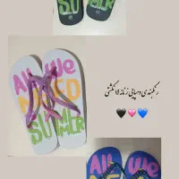 دمپایی لاانگشتی زنانه و مردانه فقط عمده