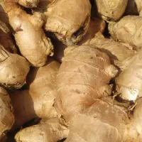 زنجبیل تایلندی|خوردنی و آشامیدنی|اصفهان, نیروگاه|دیوار