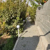 فروش-باغچه-250-متری