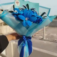 گل جاودانه پیپ پاکنی