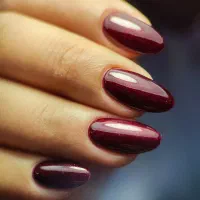 آموزش تخصصی لاین ناخن|خدمات آموزشی|ملایر, |دیوار