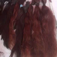 موی طبیعی|آرایشی، بهداشتی، درمانی|تهران, شکوفه (عبدل آباد)|دیوار