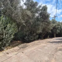 فروش زمین ۲۴۳ متری رودبار الیزه|فروش زمین و ملک کلنگی|رودبار, |دیوار