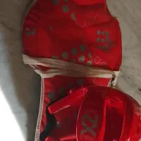 هوگو وکلاه تکواندو