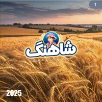 استخدام ویزیتور