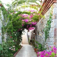 ۵۷۰ متر زمین در بهترین موقعیت شهرک ارغوان