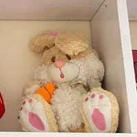 چند مدل عروسک|اسباب‌بازی بچه|رشت, کوی مهر|دیوار