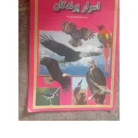 کتاب اسرار پرندگان
