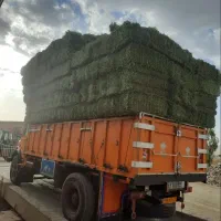 پرسه یونجه|خدمات باغبانی و درختکاری|رودخانه, |دیوار