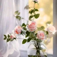 گلدان سرامیکی سالم و تمیز فروشی