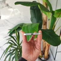 POCO X6 PRO 512G|موبایل|کرج, گوهردشت|دیوار