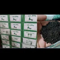 چای چکش سبز