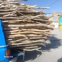فروش دوشاخه(هاچه)