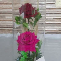 گل رز درون شیشه