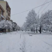 زمین مسکونی 4/19 جنوبی   املاک افشین رحیمی