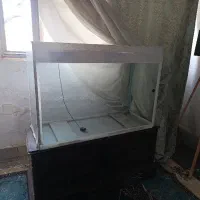 آکواریوم بزرگ