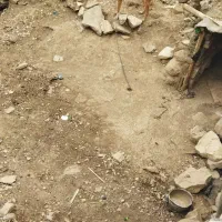 واگذاری توله نگهبان نر|سگ|کرمانشاه, |دیوار