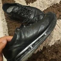 کتونی ecoo اورجینال