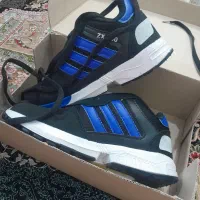 کفشهای نو ودرحدنو|کیف، کفش، کمربند|قم, انسجام|دیوار