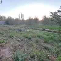 فروش باغ(میولیخ) در روستای پیرموسی|فروش زمین و ملک کلنگی|فیرورق, |دیوار