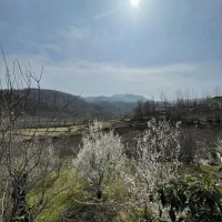 کلبه جنگلی با ویو بینظیر|اجارهٔ کوتاهمدت ویلا و باغ|رشت, باهنر|دیوار