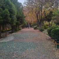 مغازه رهن و اجاره