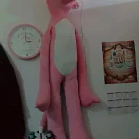 پلنگ صورتی سالم