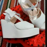 کفش مجلسی|کیف، کفش، کمربند|قم, نیروگاه|دیوار