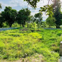 زمین-256متری-قابل-ساخت-سنددار-معاوضه-باخودرو